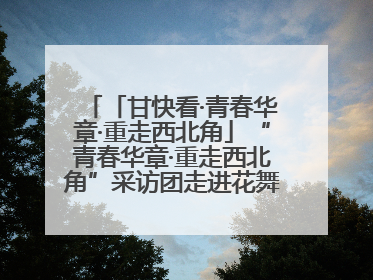 「甘快看·青春华章·重走西北角」“青春华章·重走西北角”采访团走进花舞南山 探寻天水乡村振兴之路