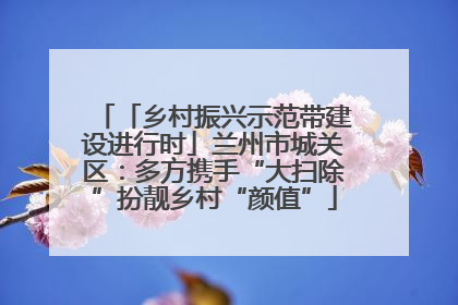 「乡村振兴示范带建设进行时」兰州市城关区：多方携手“大扫除”扮靓乡村“颜值”
