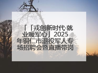 「戎创新时代·就业暖军心」2025年铜仁市退役军人专场招聘会暨直播带岗活动顺利举行