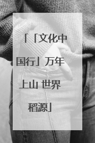 「文化中国行」万年上山 世界稻源