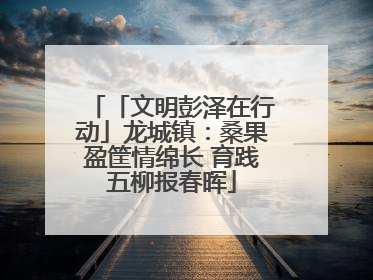 「文明彭泽在行动」龙城镇：桑果盈筐情绵长 育践五柳报春晖
