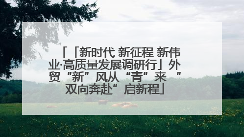 「新时代 新征程 新伟业·高质量发展调研行」外贸“新”风从“青”来 “双向奔赴”启新程
