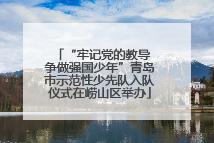 “牢记党的教导 争做强国少年”青岛市示范性少先队入队仪式在崂山区举办