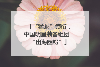 “猛龙”领衔，中国明星装备组团“出海圈粉”
