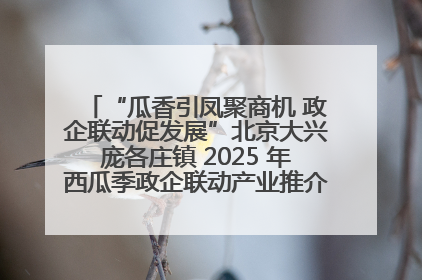 “瓜香引凤聚商机 政企联动促发展”北京大兴庞各庄镇 2025 年西瓜季政企联动产业推介活动圆满举行