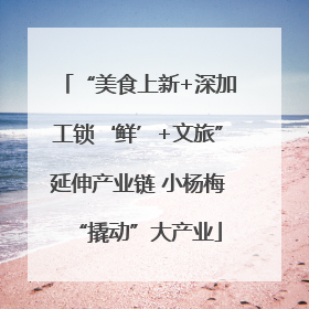 “美食上新+深加工锁‘鲜’+文旅”延伸产业链 小杨梅“撬动”大产业