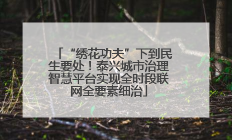 “绣花功夫”下到民生要处！泰兴城市治理智慧平台实现全时段联网全要素细治