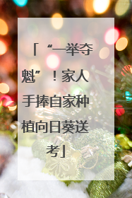 “一举夺魁”！家人手捧自家种植向日葵送考