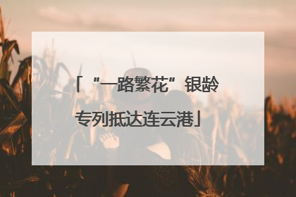 “一路繁花”银龄专列抵达连云港
