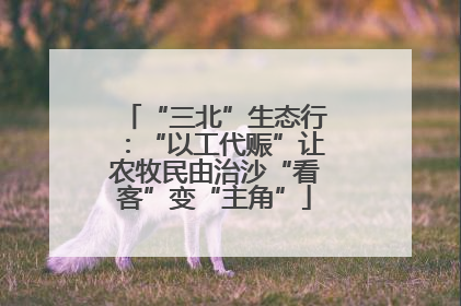 “三北”生态行：“以工代赈”让农牧民由治沙“看客”变“主角”