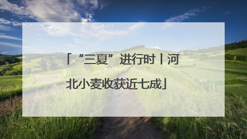 “三夏”进行时丨河北小麦收获近七成