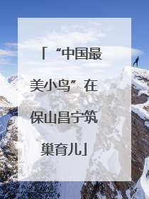 “中国最美小鸟”在保山昌宁筑巢育儿