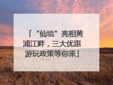 “仙境”亮相黄浦江畔，三大优惠游玩政策等你来