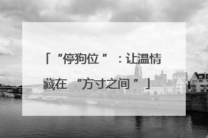 “停狗位 ”：让温情藏在 “方寸之间 ”