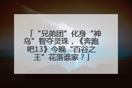 “兄弟团”化身“神鸟”智夺灵珠，《奔跑吧13》今晚“百谷之王”花落谁家？