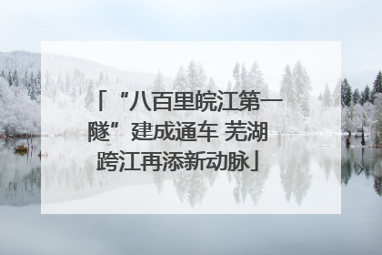 “八百里皖江第一隧”建成通车 芜湖跨江再添新动脉