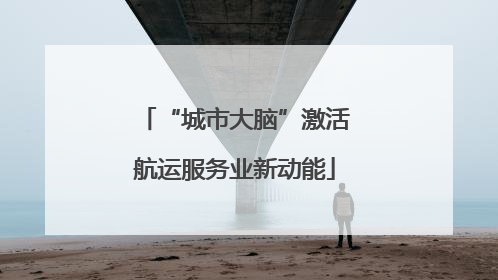 “城市大脑”激活航运服务业新动能