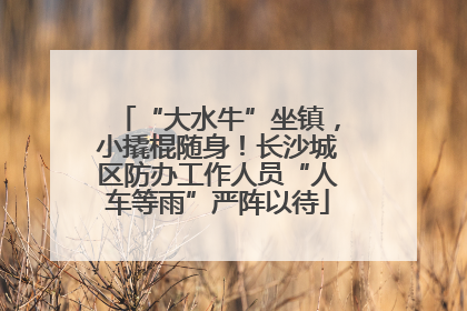 “大水牛”坐镇，小撬棍随身！长沙城区防办工作人员“人车等雨”严阵以待