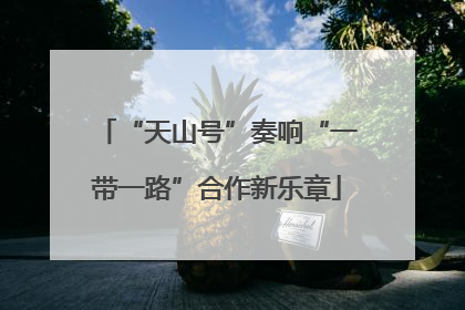 “天山号”奏响“一带一路”合作新乐章