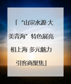 “山宗水源·大美青海”特色展亮相上海 多元魅力引客商聚焦