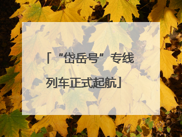 “岱岳号”专线列车正式起航