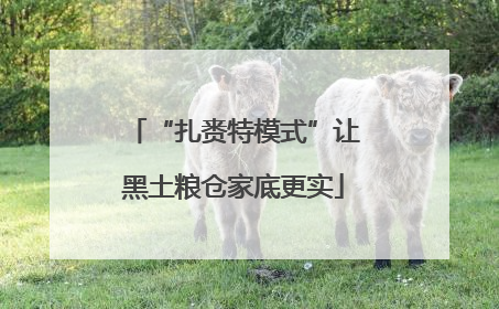 “扎赉特模式”让黑土粮仓家底更实