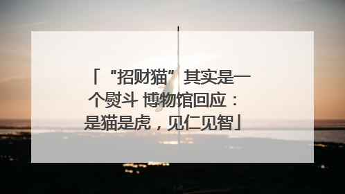 “招财猫”其实是一个熨斗 博物馆回应：是猫是虎，见仁见智