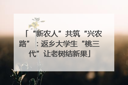 “新农人”共筑“兴农路”：返乡大学生“桃三代”让老树结新果