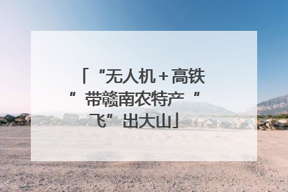 “无人机＋高铁”带赣南农特产“飞”出大山