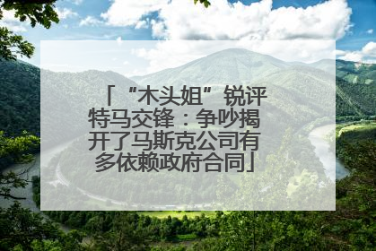 “木头姐”锐评特马交锋：争吵揭开了马斯克公司有多依赖政府合同