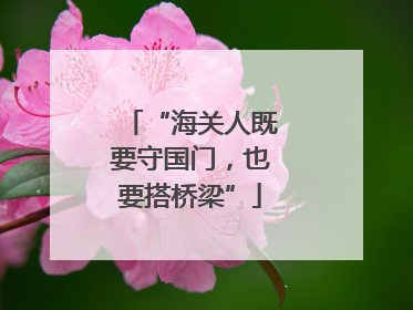 “海关人既要守国门，也要搭桥梁”