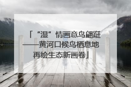 “湿”情画意鸟翩跹——黄河口候鸟栖息地再绘生态新画卷