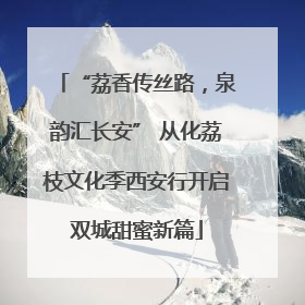 “荔香传丝路，泉韵汇长安” 从化荔枝文化季西安行开启双城甜蜜新篇