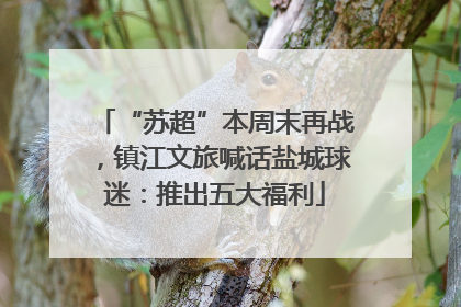 “苏超”本周末再战，镇江文旅喊话盐城球迷：推出五大福利