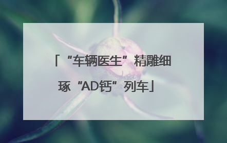 “车辆医生”精雕细琢“AD钙”列车
