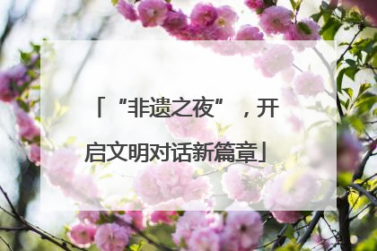 “非遗之夜”，开启文明对话新篇章