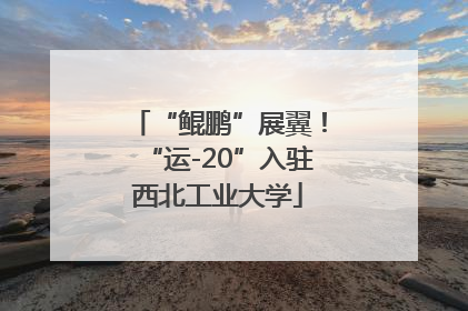 “鲲鹏”展翼！“运-20”入驻西北工业大学
