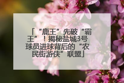 “鹿王”先破“霸王”！揭秘盐城3号球员进球背后的“农民街游侠”联盟