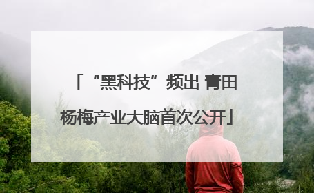 “黑科技”频出 青田杨梅产业大脑首次公开