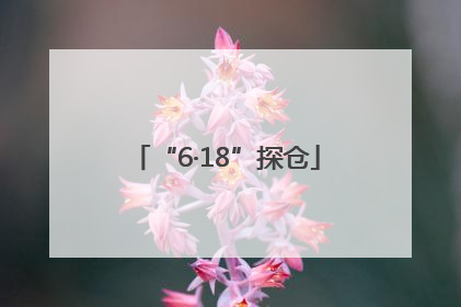 “6·18”探仓