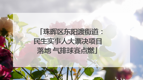 珠晖区东阳渡街道：民生实事人大票决项目落地 气排球赛点燃