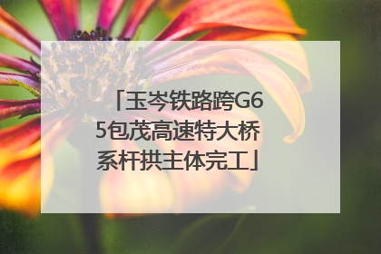 玉岑铁路跨G65包茂高速特大桥系杆拱主体完工