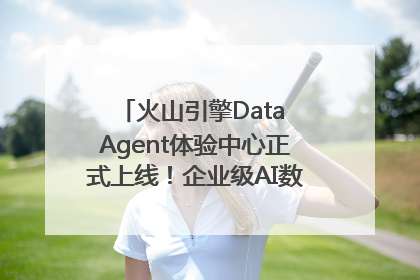 火山引擎Data Agent体验中心正式上线！企业级AI数据专家触手可及