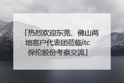 热烈欢迎东莞、佛山两地客户代表团莅临itc保伦股份考察交流