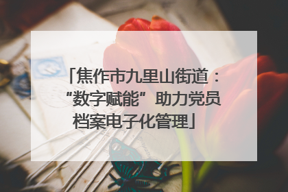 焦作市九里山街道：“数字赋能”助力党员档案电子化管理