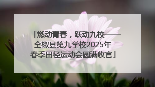 燃动青春，跃动九校——全椒县第九学校2025年春季田径运动会圆满收官