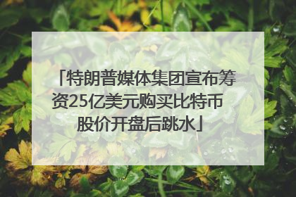 特朗普媒体集团宣布筹资25亿美元购买比特币 股价开盘后跳水