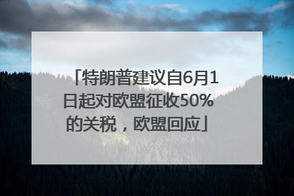 特朗普建议自6月1日起对欧盟征收50%的关税，欧盟回应