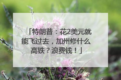 特朗普：花2美元就能飞过去，加州修什么高铁？浪费钱！