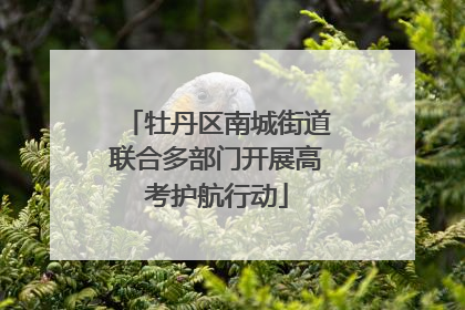 牡丹区南城街道联合多部门开展高考护航行动